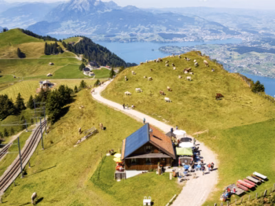Schweizer Almhütte mit Kühen am Berg und Seeufer