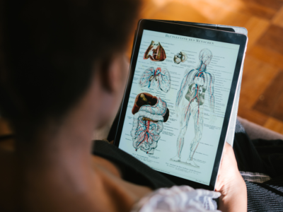 Person betrachtet anatomische Diagramme auf einem Tablet.